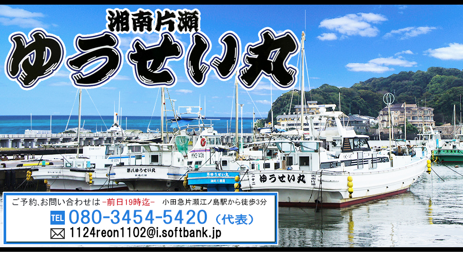 釣船浅八丸 - 湘南・平塚発 フィッシングエンターテイメント